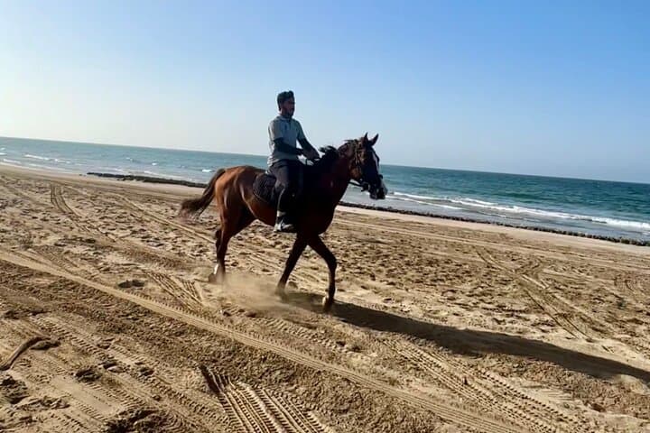 Sunset Horse Riding on Muscat Beach — 1-Hour Arabian Beachback Ride photo 3