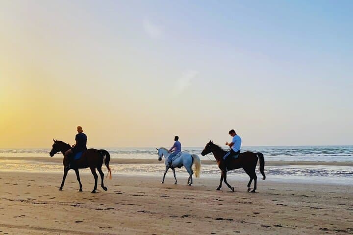 Sunset Horse Riding on Muscat Beach — 1-Hour Arabian Beachback Ride