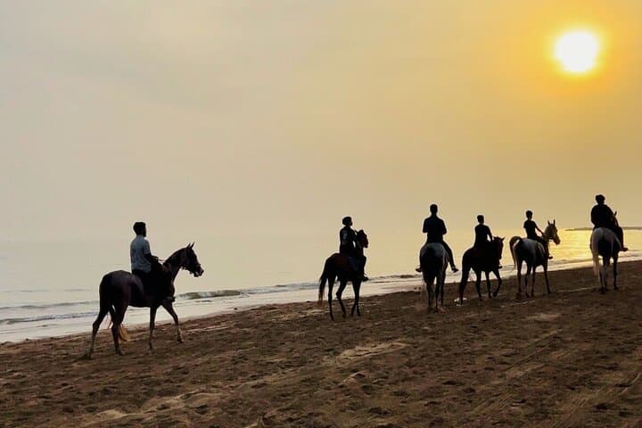 Sunset Horse Riding on Muscat Beach — 1-Hour Arabian Beachback Ride photo 5