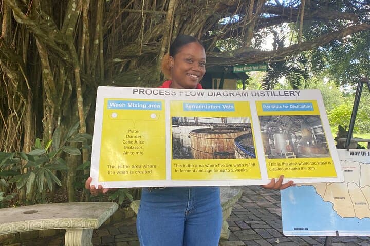 Hampden Rum Estate Tour with French Guide & Martha Brae Bamboo Rafting photo 2