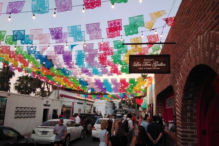 Los Cabos Art & Culture Tour — Galleries, Glassblowing and Coastal Views photo 4