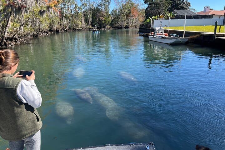 Kings Bay Eco Tours: Crystal River Manatee & Spring Wildlife Cruise