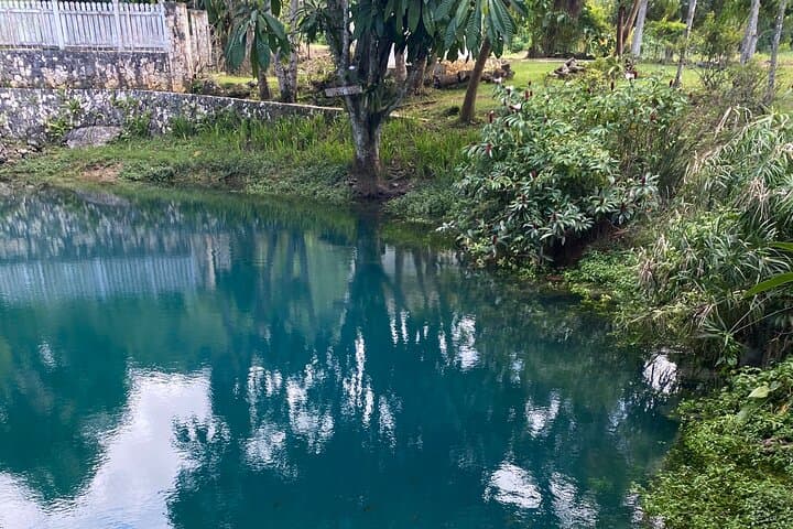 Blue Hole & Dunn's River Falls Adventure: Jump, Climb and Swim in Ocho Rios photo 2