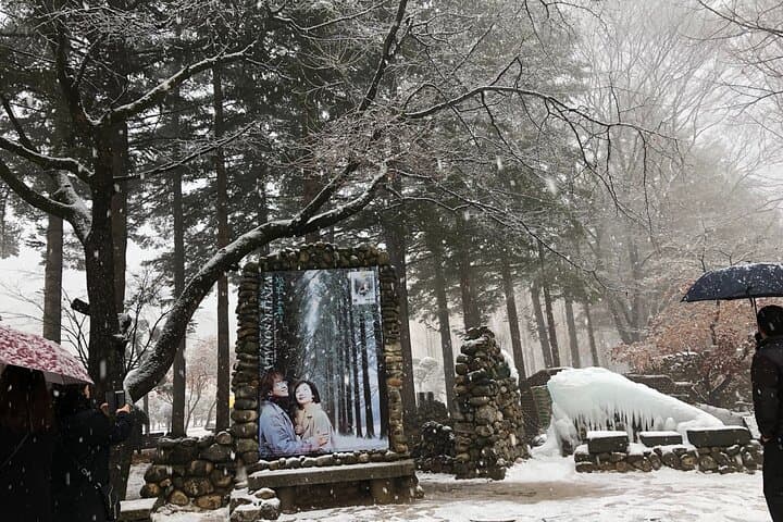 Winter Alpacas, Nami Island & Eobi Ice Valley Day Trip from Seoul photo 4