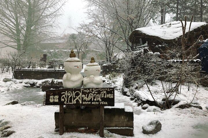 Winter Alpacas, Nami Island & Eobi Ice Valley Day Trip from Seoul photo 5