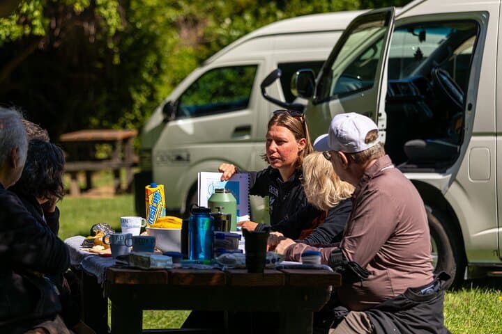 Akaroa & Banks Peninsula Small-Group Day Tour — Dolphin Cruise or Giant’s House photo 4