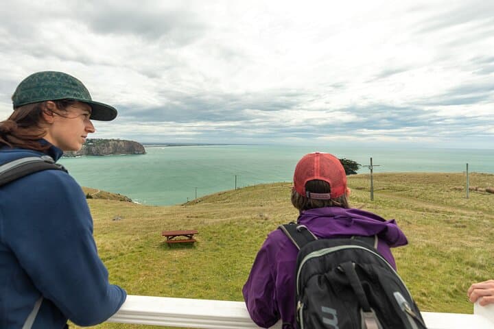 Discover the Historic Trails of Godley Head on a Scenic Walking Tour photo 6