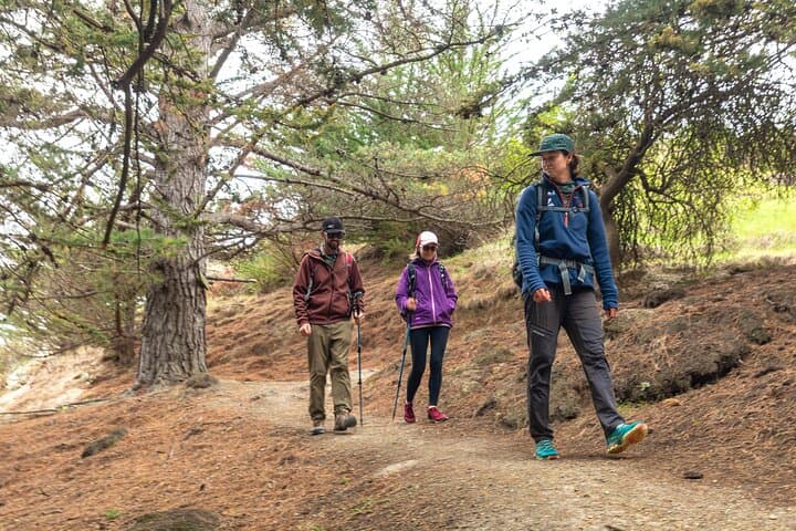 Discover the Historic Trails of Godley Head on a Scenic Walking Tour photo 4