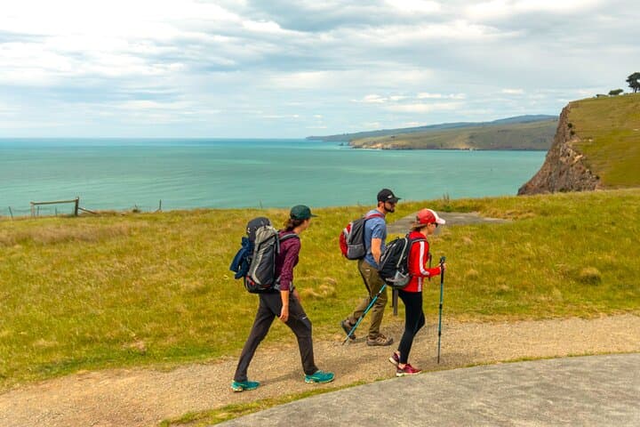 Discover the Historic Trails of Godley Head on a Scenic Walking Tour