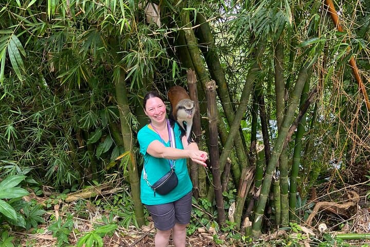 Taste of Grenada: Private Nature & Spice Tour from St. George's photo 5