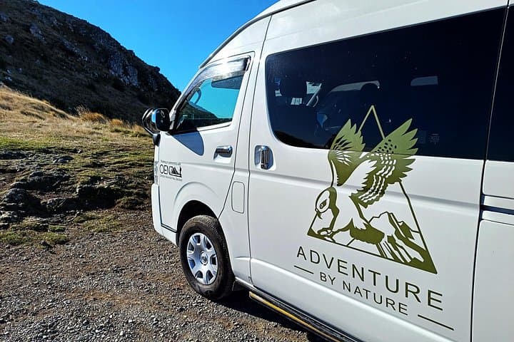 Packhorse Hut Guided Walk — Port Hills Day Hike from Christchurch photo 4