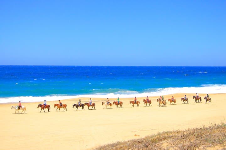 Cabo Sky Bike & Beach Horseback Combo at Migriño Beach photo 4