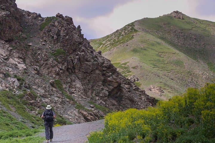 6-Day Gobi Desert Highlights: Khongor Dunes, Yol Valley & Flaming Cliffs photo 5