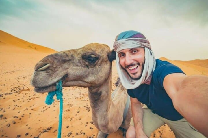 Doha Arabian Horseback Riding Adventure: Desert Dunes & Stable Transfers photo 6