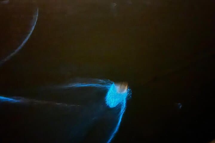 Fireflies & Blue Tears Night Cruise with Seafood Dinner in Kuala Selangor photo 5