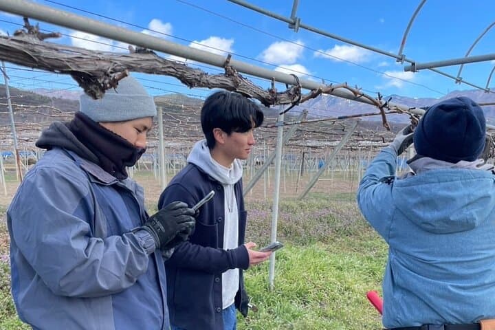 All-Inclusive Katsunuma Winery & Sake Tour with Mt. Fuji Views photo 3