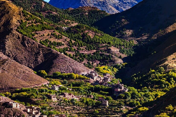 Ourika Valley Waterfalls Day Trip from Marrakech — Setti Fatma Hike & Argan Cooperative photo 3