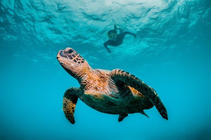 Daymaniyat Islands Half-Day Snorkel: 5-Hour Boat Trip from Muscat