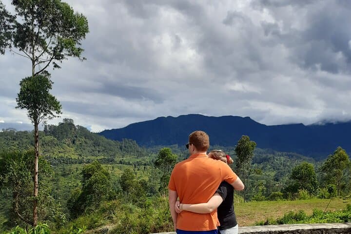 Sri Lanka Private Car & Driver Hire — Flexible Day Tours from Colombo