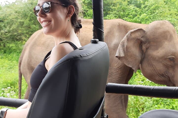 Sri Lanka Private Car & Driver Hire — Flexible Day Tours from Colombo photo 2