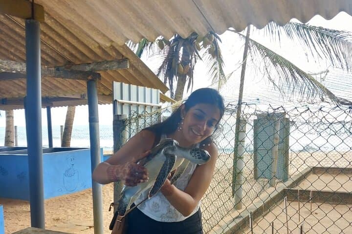 Sri Lanka Private Car & Driver Hire — Flexible Day Tours from Colombo photo 4