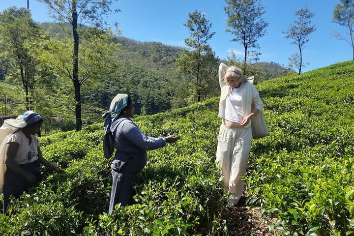Sri Lanka Private Car & Driver Hire — Flexible Day Tours from Colombo photo 5