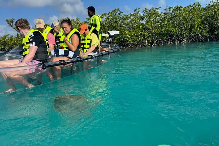 Motorized Clear-Kayak Mangrove Tour in Providenciales — Electric Eco-Boat Experience photo 2