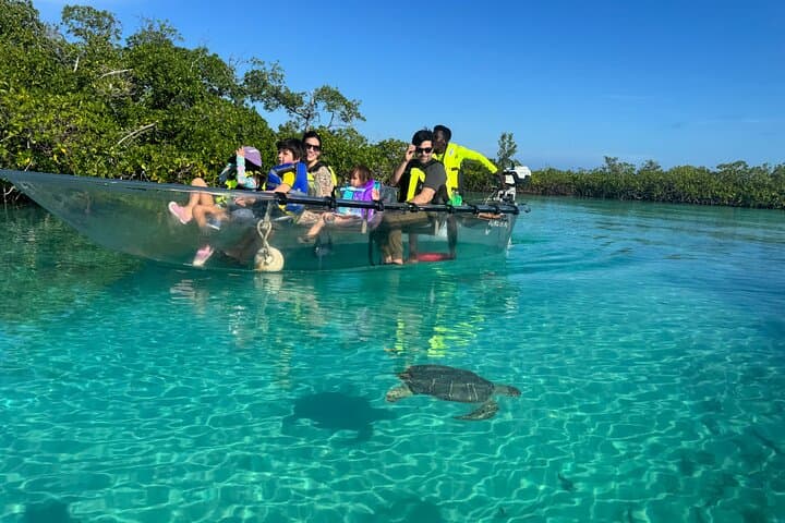 Motorized Clear-Kayak Mangrove Tour in Providenciales — Electric Eco-Boat Experience photo 1
