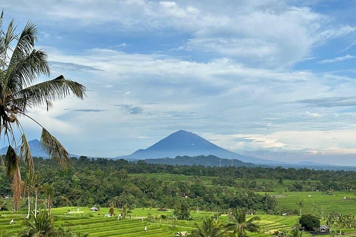 Full-Day Ubud Private Tour: Cultural Heritage, Rice Terraces & Temple Rituals photo 2