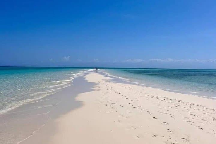 Prison Island and Nakupenda Sandbank Day Trip from Stone Town photo 3