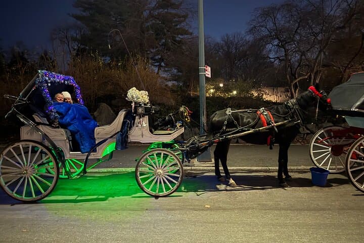 NYC Christmas Lights Horse-Drawn Carriage Tour to Rockefeller Center photo 6