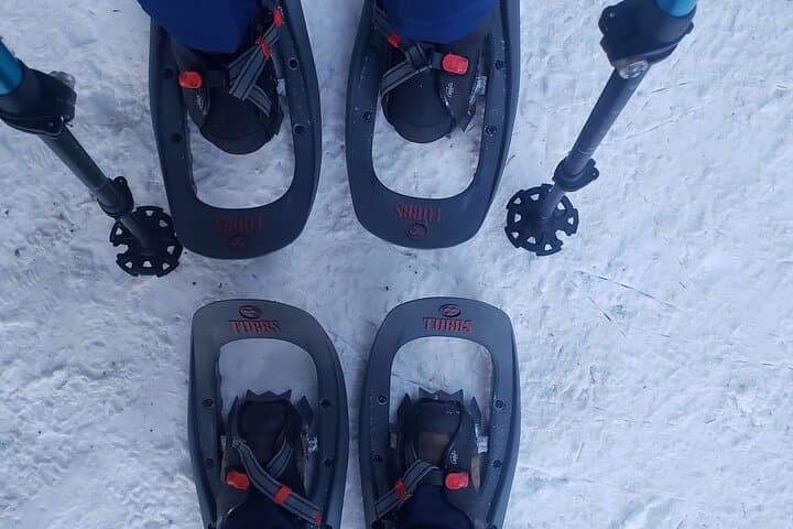 Women’s Snowshoeing to Emerald Lake — Bear Lake Winter Loop in Rocky Mountain NP photo 5