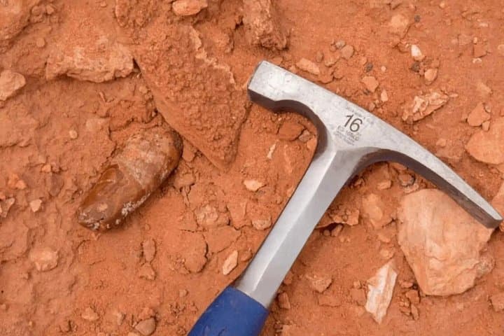 Sahara Desert Fossil Hunting in Merzouga — Full-Day Paleontology Experience photo 1