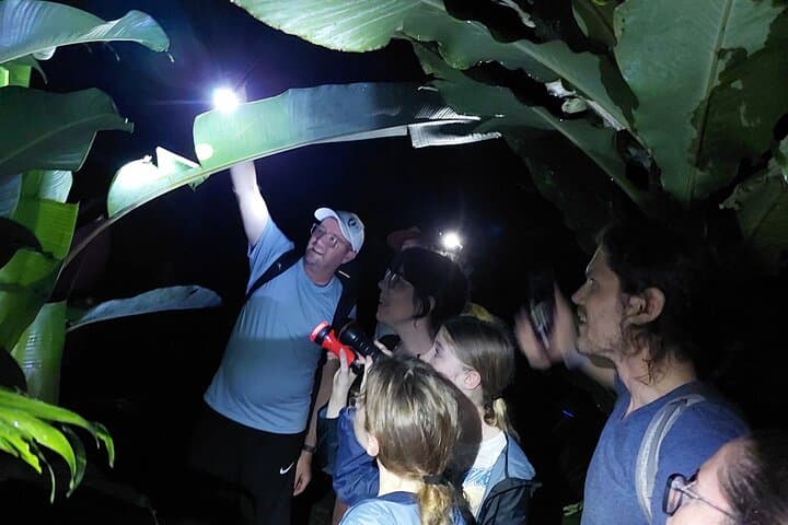 Night Walk at Cerro Chato: Rainforest Nocturnal Frog and Snake Quest photo 4
