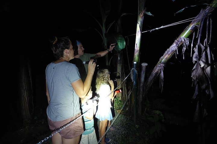 Night Walk at Cerro Chato: Rainforest Nocturnal Frog and Snake Quest photo 2