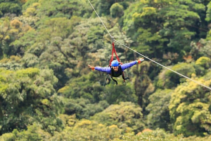Private Monteverde Cloud Forest Tour: Hanging Bridges, Zipline & Wildlife