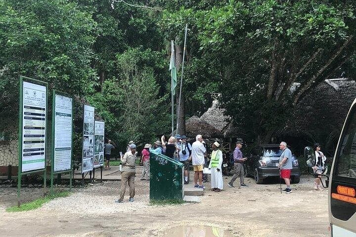 Jozani Mangrove Forest and Zanzibar Spice Farm Walking Adventure photo 2