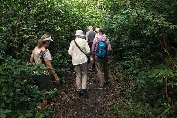 Jozani Mangrove Forest and Zanzibar Spice Farm Walking Adventure photo 4
