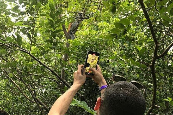 Jozani Mangrove Forest and Zanzibar Spice Farm Walking Adventure photo 6