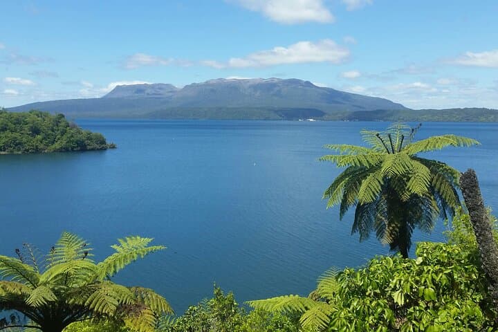 Rotorua Highlights Tour — Geothermal Parks, Redwoods & Lake Tarawera (Glow Worms Option) photo 1