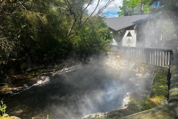 Rotorua Highlights Tour — Geothermal Parks, Redwoods & Lake Tarawera (Glow Worms Option) photo 2