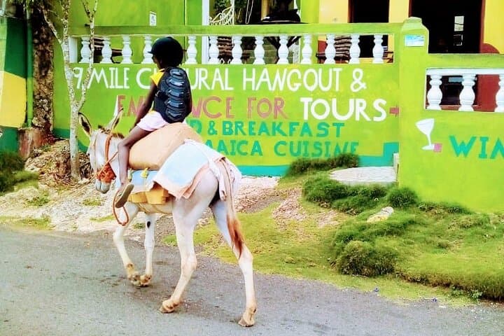 Nine Mile Donkey Ride & Nature Tour near Ocho Rios photo 1