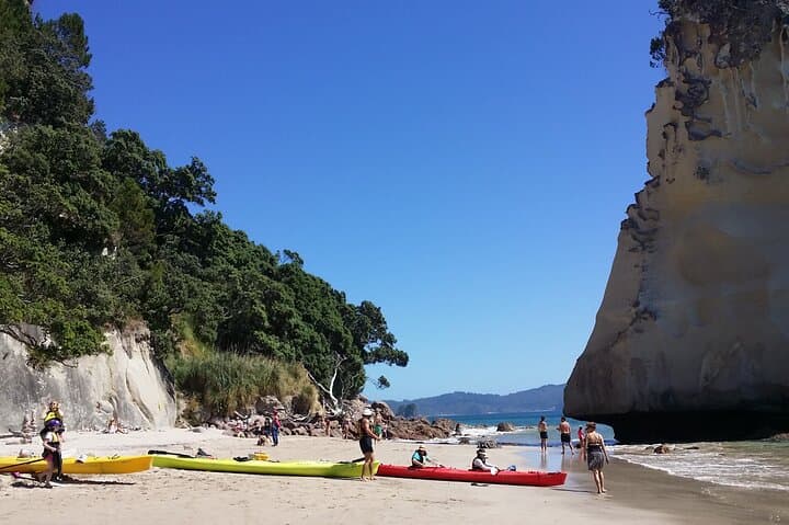Cathedral Cove & Hot Water Beach Day Tour — Coromandel Coastal Hike and Geothermal Beach photo 4