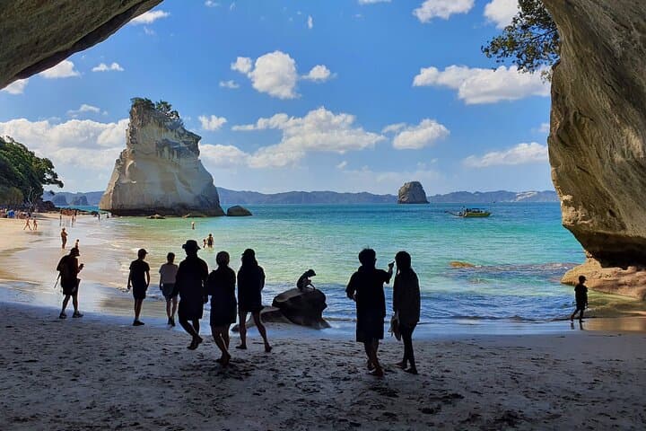 Cathedral Cove & Hot Water Beach Day Tour — Coromandel Coastal Hike and Geothermal Beach photo 5