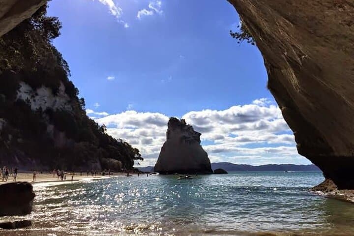 Cathedral Cove & Hot Water Beach Day Tour — Coromandel Coastal Hike and Geothermal Beach photo 6