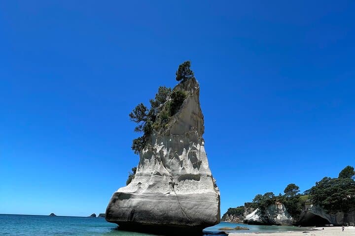 Cathedral Cove & Hot Water Beach Day Tour — Coromandel Coastal Hike and Geothermal Beach