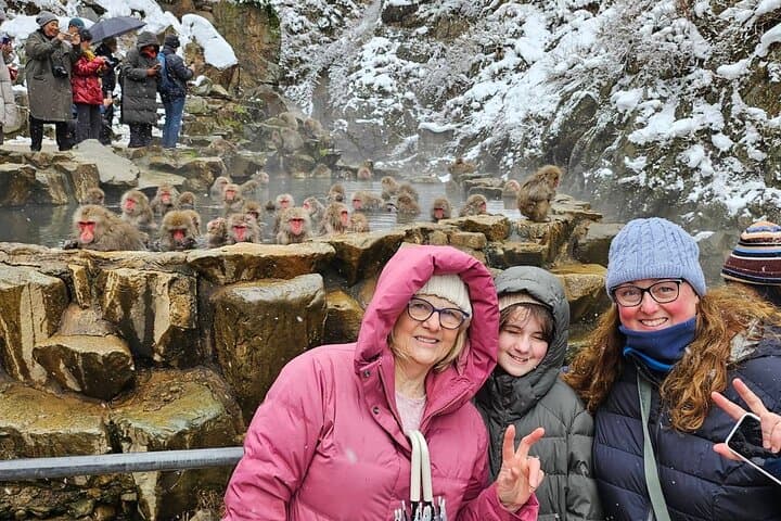 Jigokudani Snow Monkey Park Guided Tour from Yudanaka: Hot Springs and Wild Macaques