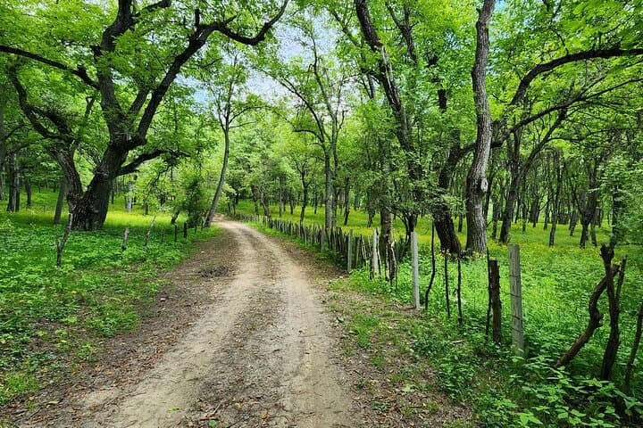 16-Day Forests and Fields Trek: Jalal-Abad Walnut Forests, High Passes and Alpine Lakes photo 6