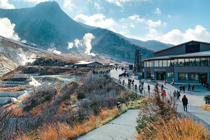 Private Hakone Day Trip from Tokyo: Lake Ashi, Owakudani, Ropeway & Open-Air Museum