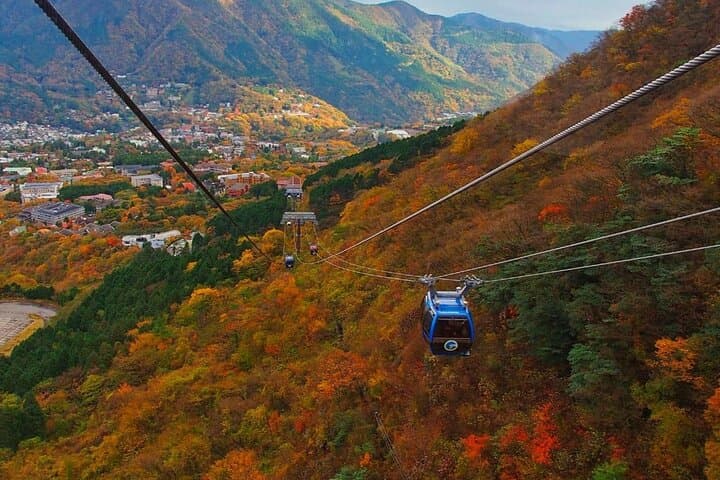 Private Hakone Day Trip from Tokyo: Lake Ashi, Owakudani, Ropeway & Open-Air Museum photo 5